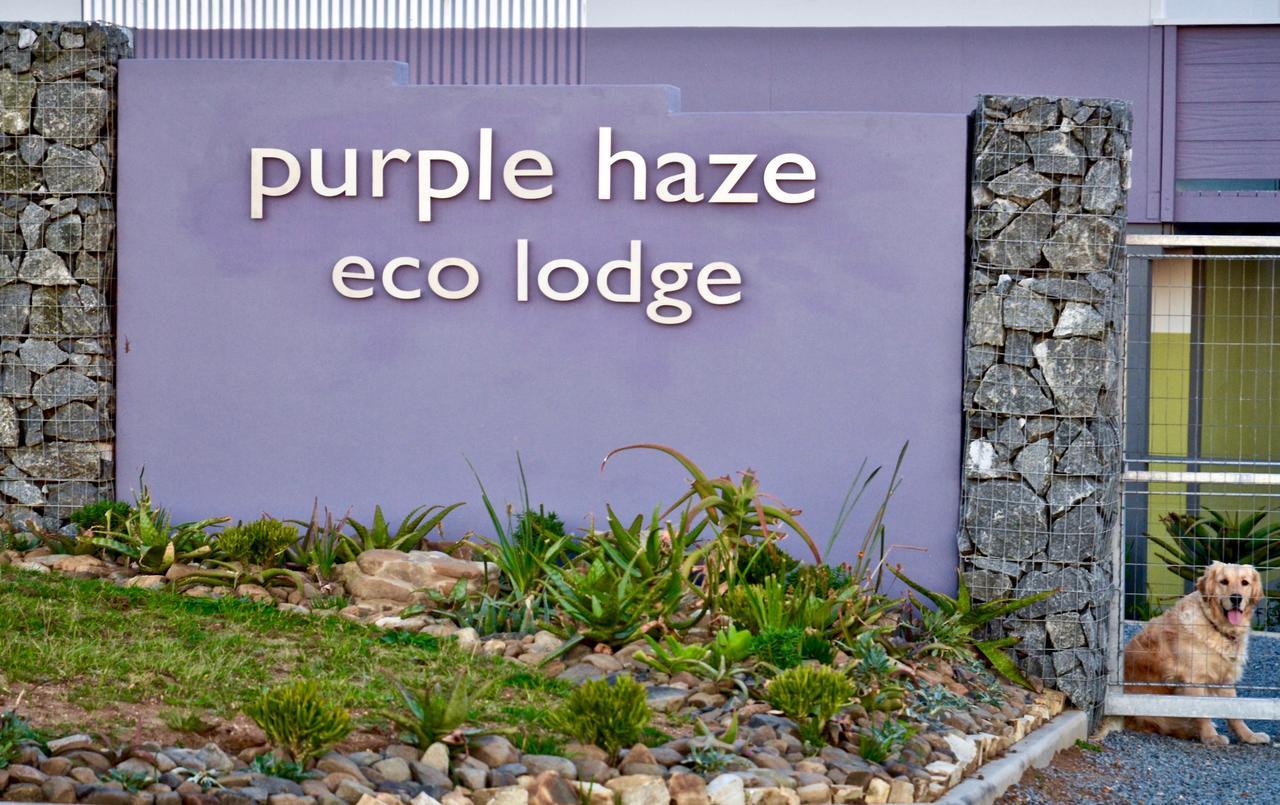 Purple Haze Eco Lodge Chintsa Exteriör bild